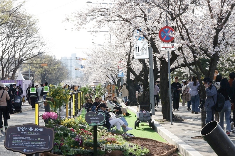 ▲8일 영등포구 여의서로에서 ‘모두의 정원’을 주제로 열린 ‘2025 영등포 여의도 봄꽃축제’를 찾은 시민들이 봄꽃을 즐기고 있다. ⓒ영등포시대