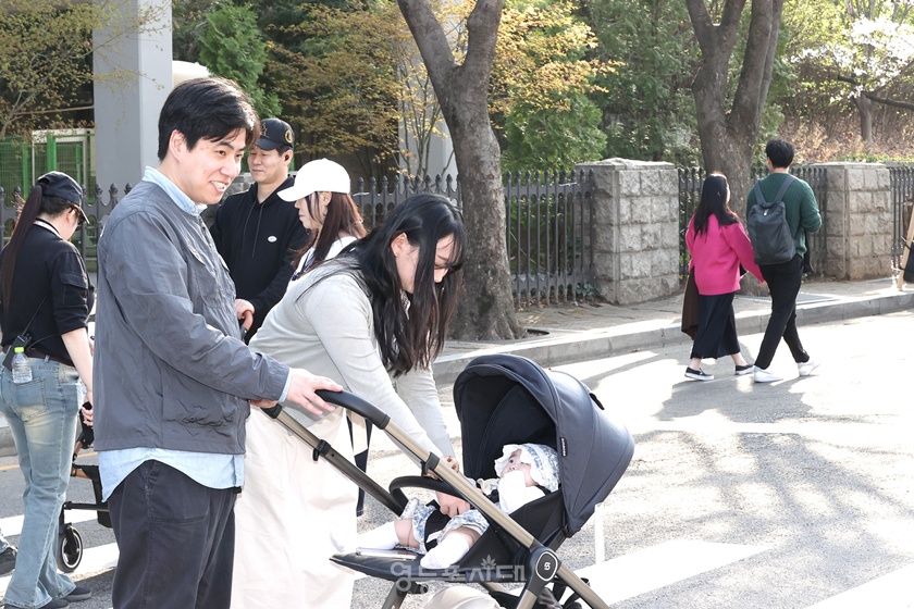 ▲‘2025 영등포 여의도 봄꽃축제’ 첫날인 8일 아이와 함께 나온 30대 부부가 벚꽃길을 거닐고 있다. ⓒ영등포시대