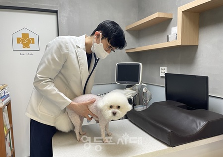 ▲동물병원에서 예방접종 하고 있는 모습. ⓒ영등포구 제공