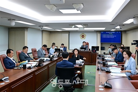 ▲서울시의회 제331회 정례회 행정자치위원회 회의. ©서울시의회 제공 