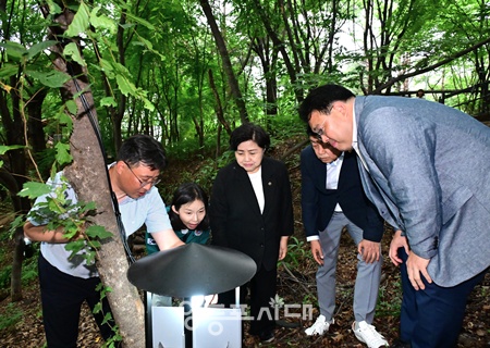 ▲최호정 서울시의회 의장(왼쪽에서 두 번째)이 6월 27일 은평구 백련산 등산로 입구에서 시범사업 중인 러브버그 친환경 포집 현장을 방문, 현장을 살펴보고 있다. ©서울시의회 제공.