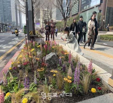 ▲서울시 종로구 종로1가에 조성된 가로정원. ©서울시 제공