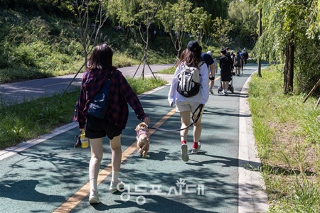 ▲지난해 안양천 힐링 걷기 대회 모습. ⓒ영등포구 제공