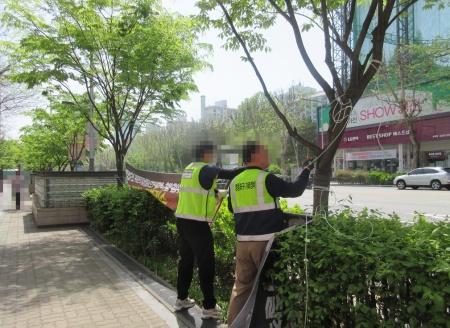 불법광고물 현수막 정비 현장 