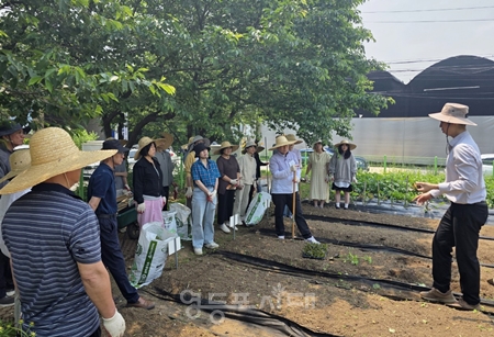 ▲도시농업 전문가 양성 교육/이미지=서울시농업기술센터 제공