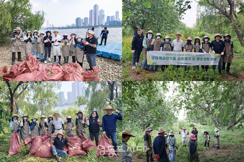 ▲6월 11일 영등포구 마을정원사회 회원들과 최호권 영등포구청장, 정원도시과 관계자들이 밤섬 일대에서 생태교란식물 제거와 환경정화 활동을 시행했다.ⓒ영등포구 마을정원사